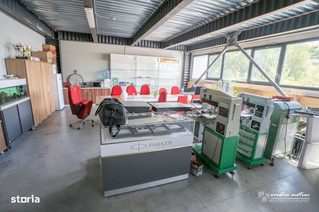 Hale in parcul Tetarom I-8