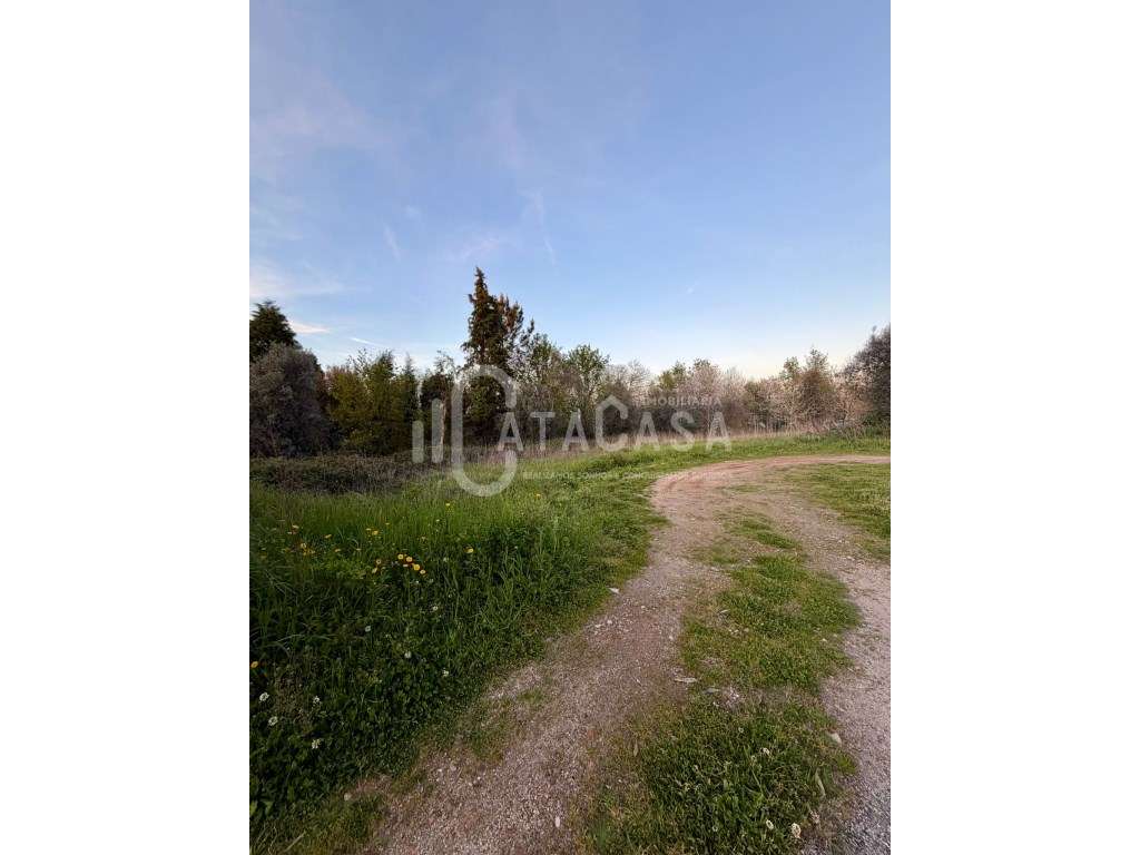 Terreno para construção na Forcada Aguada de Cima - Grande imagem: 4/9