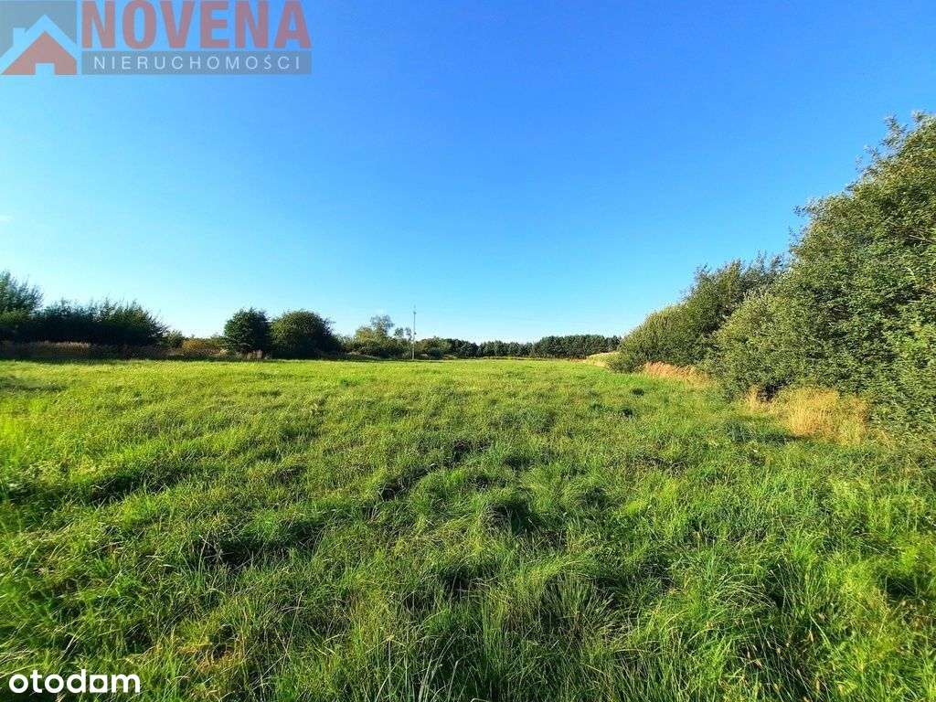 Blisko Las i tereny rekreacyjne. - Pełny obrazek: 1/7