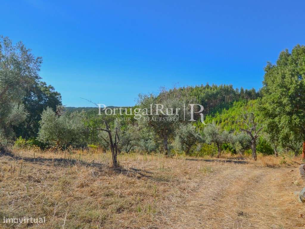 Lote terreno com 870 m² para construção em Proença-a-Nova - Grande imagem: 5/8