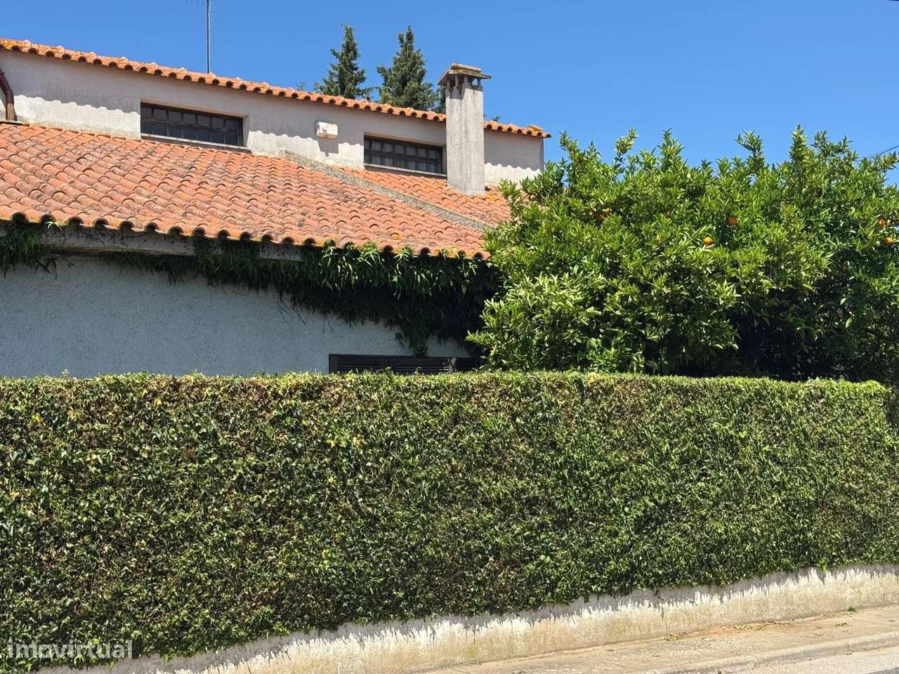 Moradia T4 com Jardim e Vista de Campo na Golegã-35