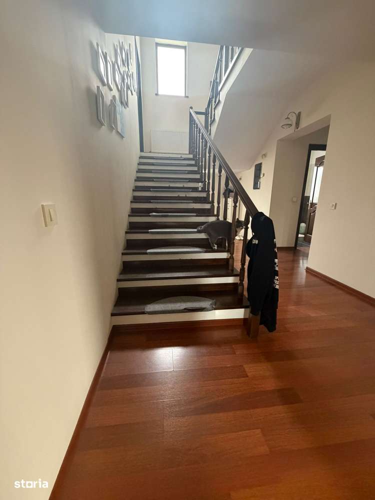 Vand Vila Serbanesti strada Siretului-10