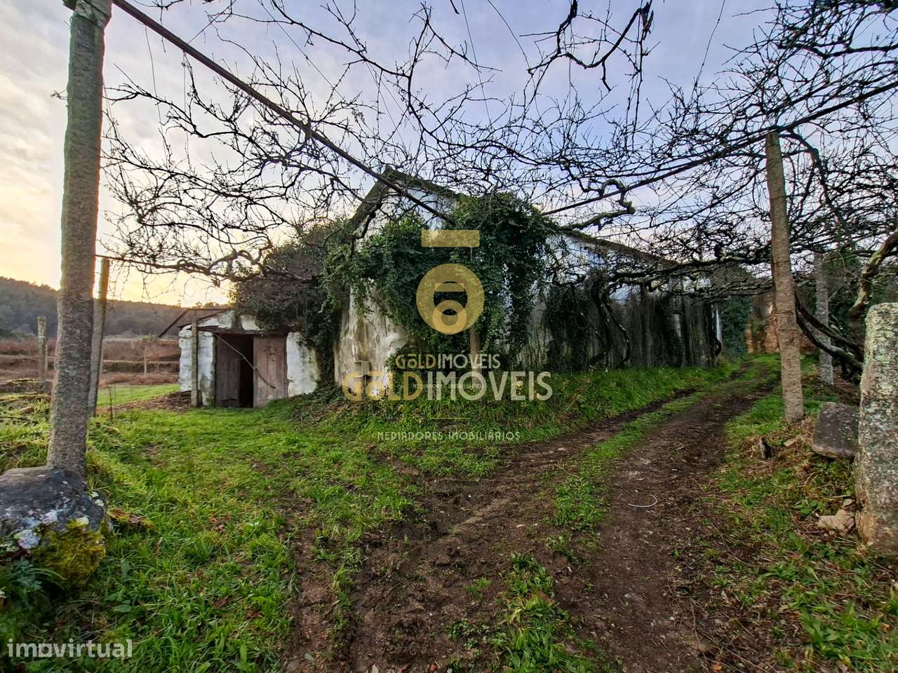 Quintinha T3 Venda em Santa Maria de Sardoura,Castelo de Paiva-3