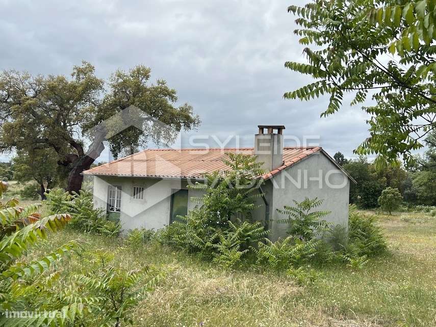 Terreno com casa agrícola para VENDA em São Miguel de Acha-11