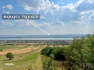 Pivnita cu parcela de vie - de vanzare, Uileacu de Cris, Bihor - Imagine principală: 4/11