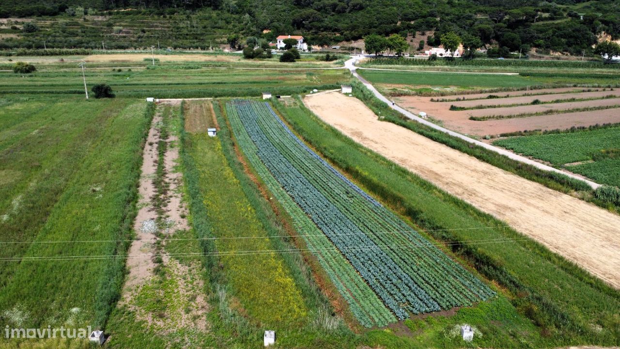 Terreno para agricultura com 1900 m2 - Quinta Nova, Famalicão, Nazaré