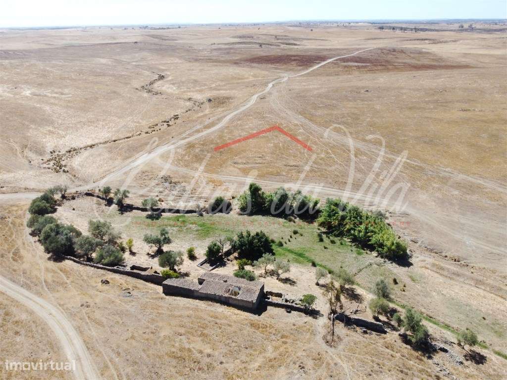 Propriédade de 119ha com varias ruinas - Castro Verde-16