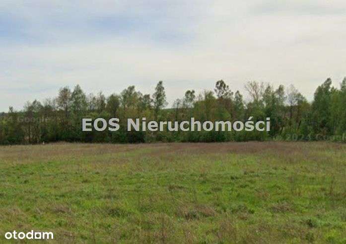 Działka, 3 200 m², Płucki - Pełny obrazek: 4/4