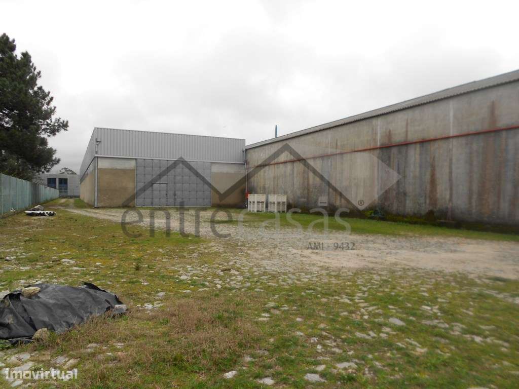 Unidade Fabril - Grande imagem: 4/4