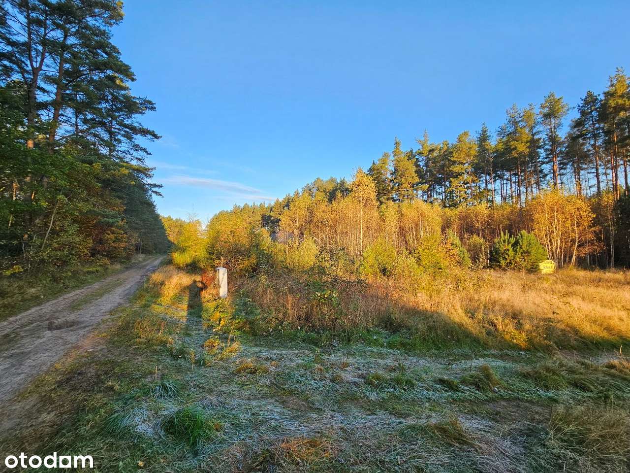 Działka Leśniewo 1062 m², przy lesie, cisza i spokój, wydane WZ-3