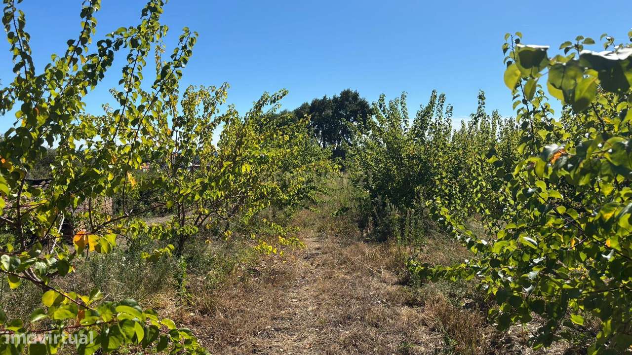 Fantástica Quinta, Alpedrinha - Grande imagem: 5/21