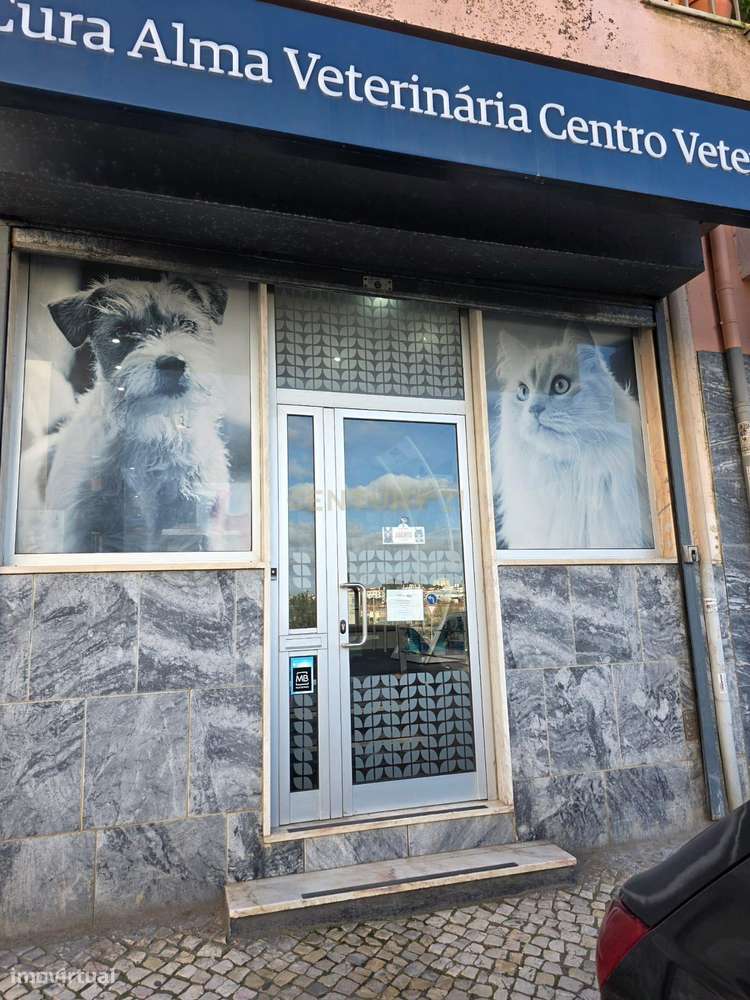 Loja Ouressa-Mem Martins - Grande imagem: 2/8