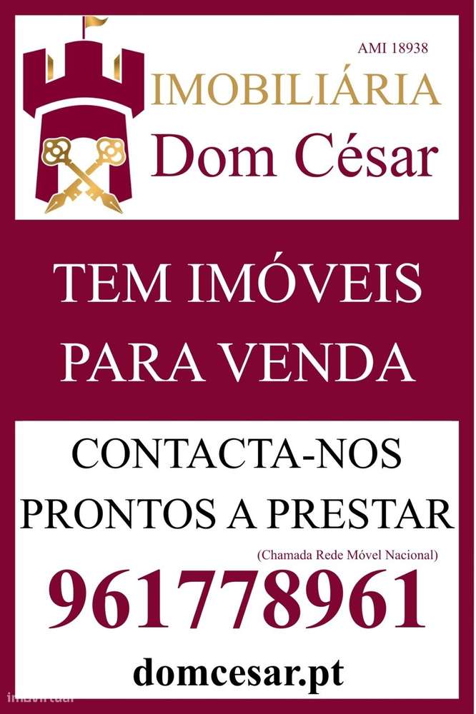 Terreno misto, com ruína para recuperar - Almeirim / Fazendas de Al... - Grande imagem: 3/13