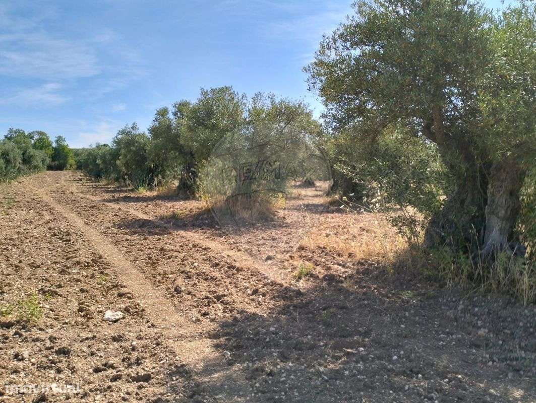 Terreno  para venda - Grande imagem: 5/5