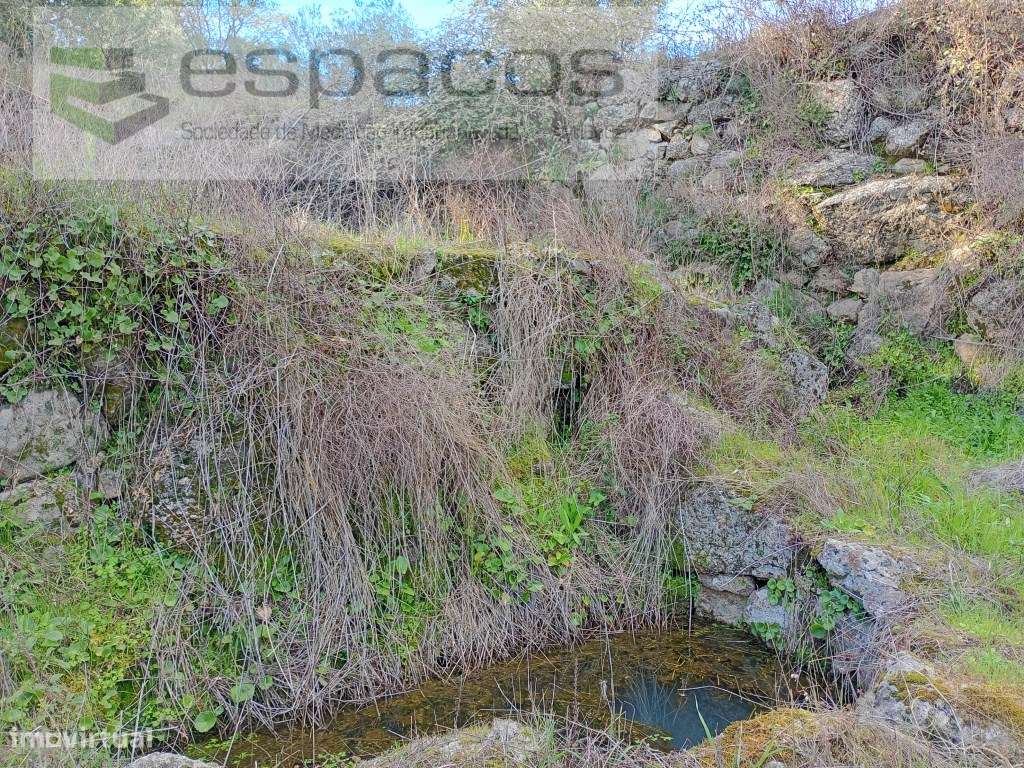 Terreno Rústico a 15 minutos de Castelo Branco-16