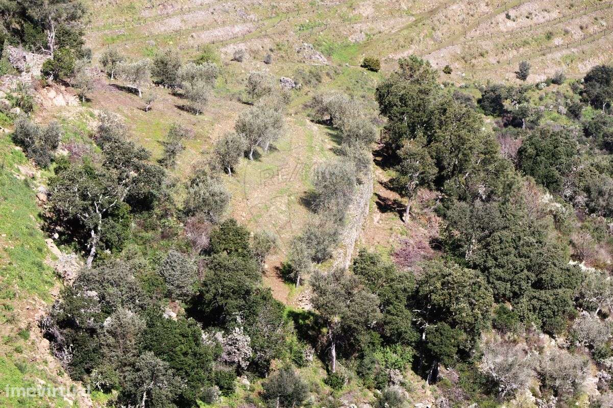 Quinta  para venda - Grande imagem: 5/50