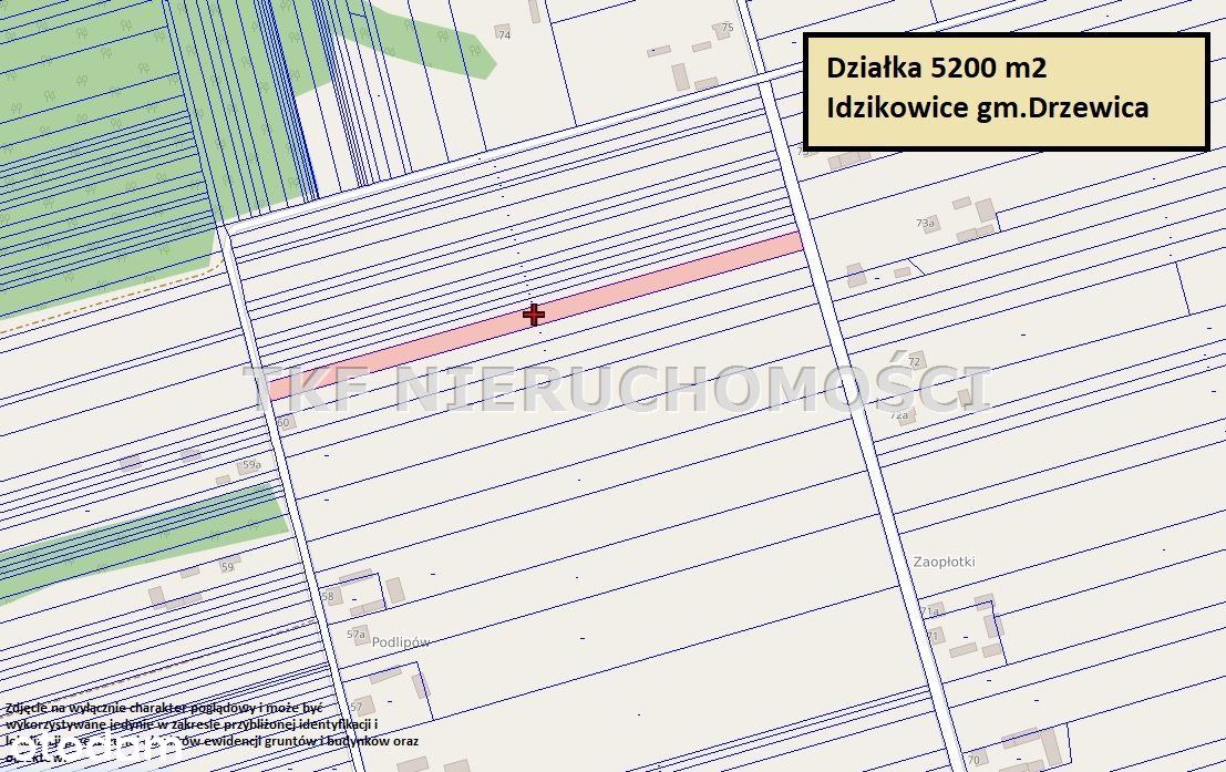 Działka rolna 5200 m2 Idzikowice gm.Drzewica