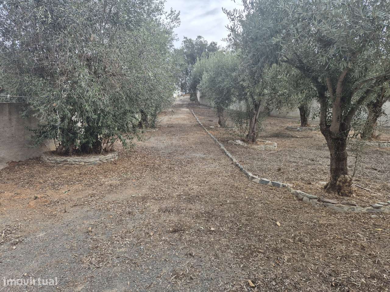 Excelente V3 em Garvão-Ourique-35