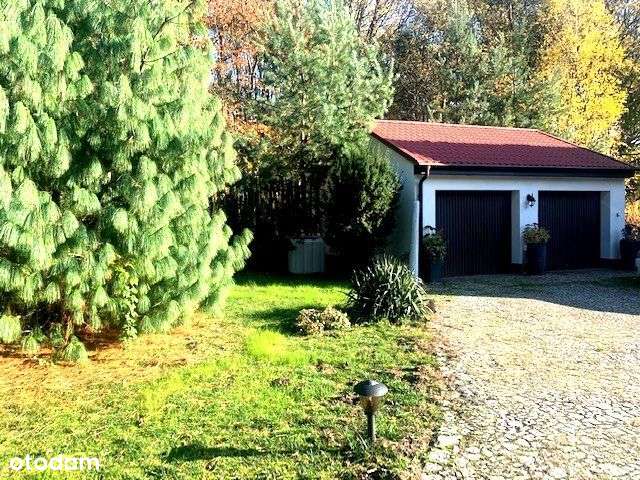 Piękny dom w lesie.., Dabcze - Pełny obrazek: 5/16