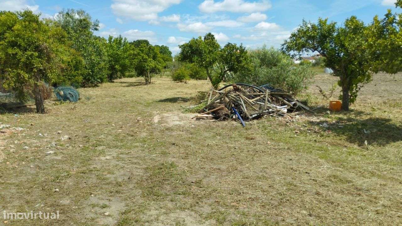 Vende-se Qintinha em Vendas Novas-10