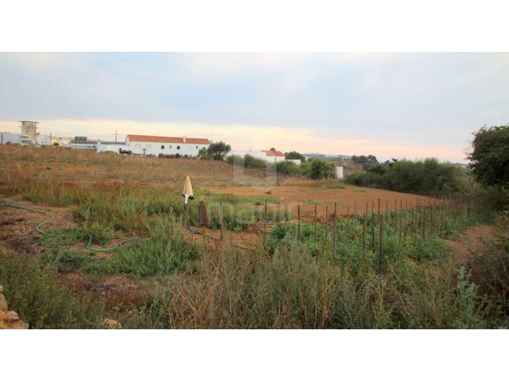 Terreno com 4.489 m2, localizado em Mafra - Grande imagem: 5/5