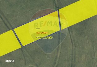 20 ha terenuri agricole de vanzare in Bacau - Imagine principală: 4/18