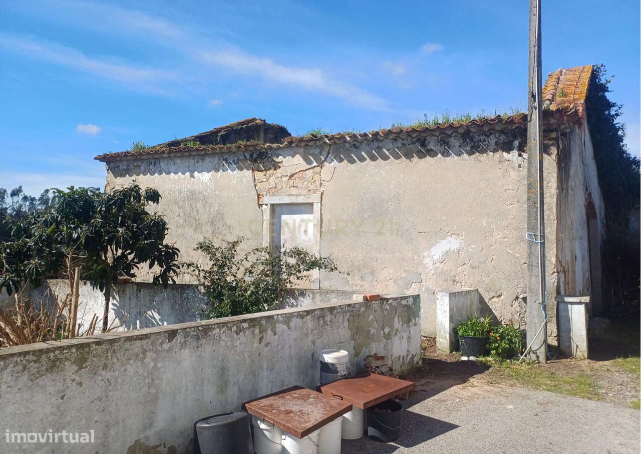 Terreno Urbano em Almoster Santarém - Grande imagem: 3/6