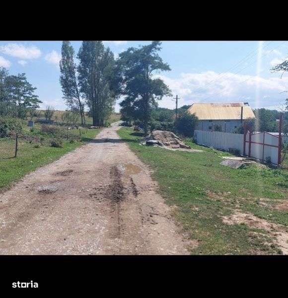 Teren pt casa 3100 mp Lazareni intrav - Imagine principală: 4/7