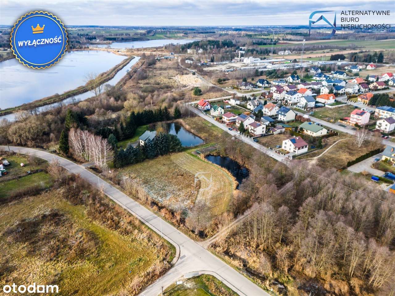 Działka budowlano-usługowa ze stawem - Kock - Pełny obrazek: 5/15