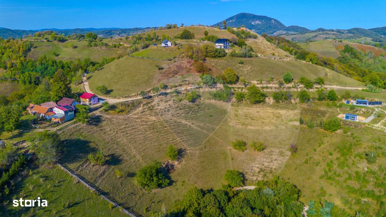 Teren extravilan 6,014mp | Holbav | BRASOV | COMISION 0| - Imagine principală: 5/14