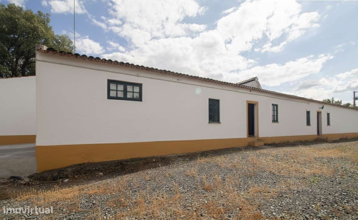 Herdade - Alvito-16