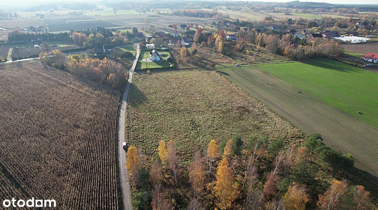 Działki budowlane Gwieździn w otoczeniu lasów i jezior - Pełny obrazek: 4/9