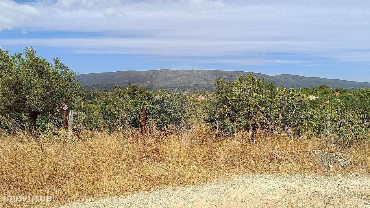 Terreno  para venda - Grande imagem: 5/7