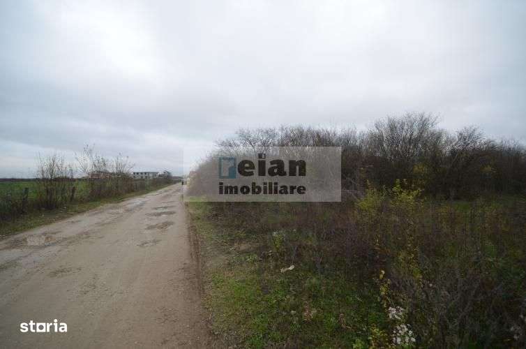 Mogosoia - Nichita Stanescu, Teren 3000mp, Deschidere 44ml, Utilitati - Imagine principală: 3/9