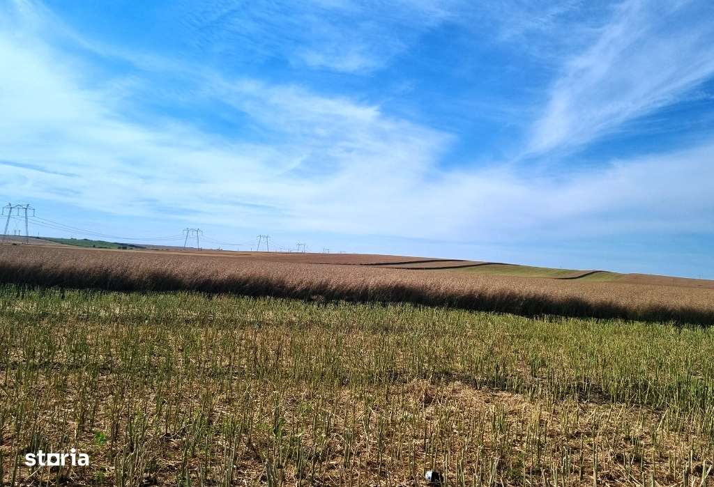 Vanzate Teren intravilan Cernica 4000MP-6