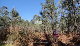 Venda de Terreno, Subportela, Viana do Castelo - Grande imagem: 2/22