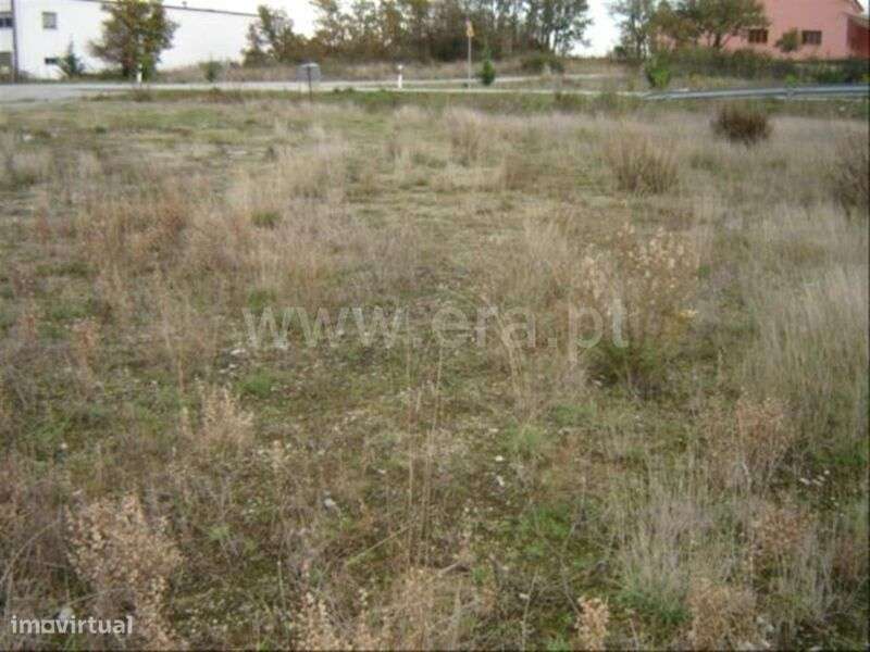 Terreno Rústico / Fundão, Alcaria - Grande imagem: 3/4