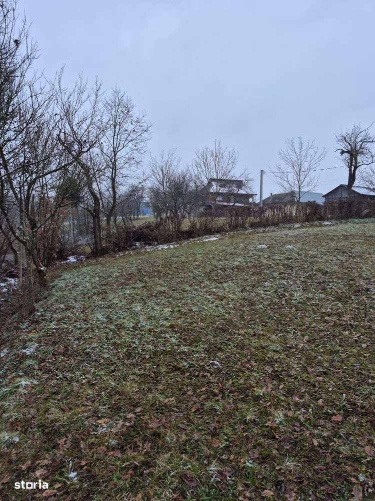 Coas, 15-30 ari teren - Imagine principală: 3/5