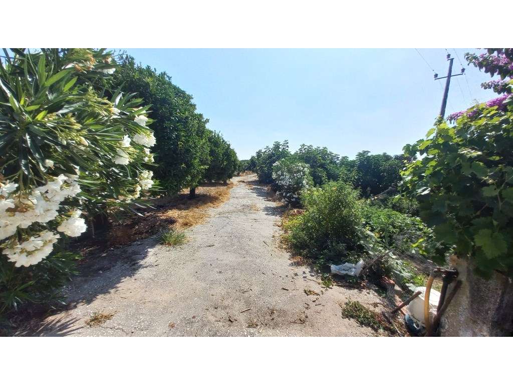 Herdade vinhateira próxima de Setúbal-6