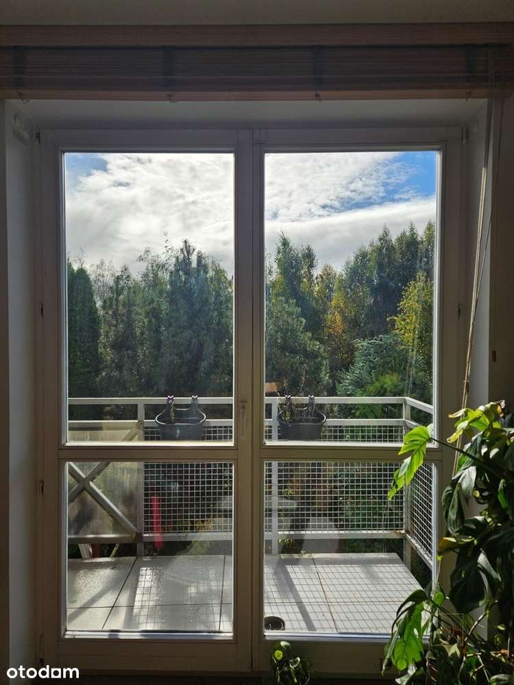 2 pokoje na zielonej Białołęce-7