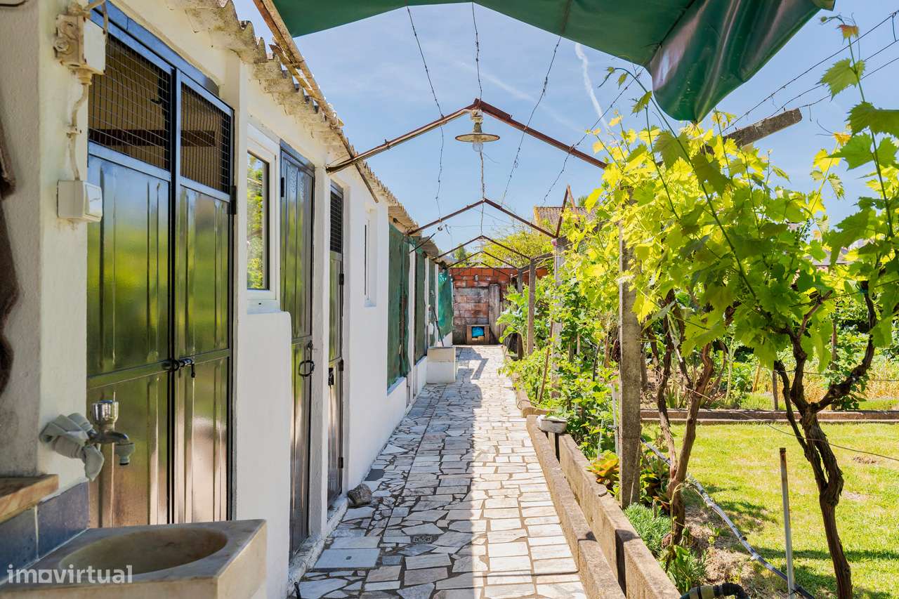 Quintinha de Sonho no Entroncamento - Grande imagem: 5/37