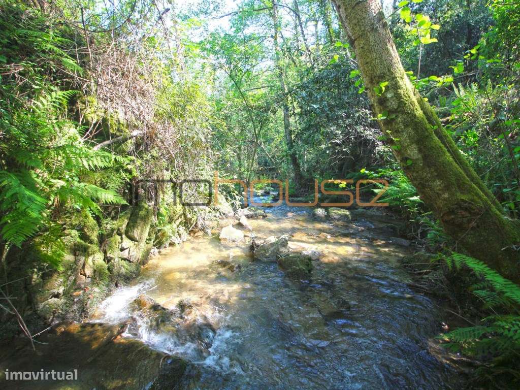 Quinta de 5.6 ha - Varias edificações, ribeiro e vista Douro-26