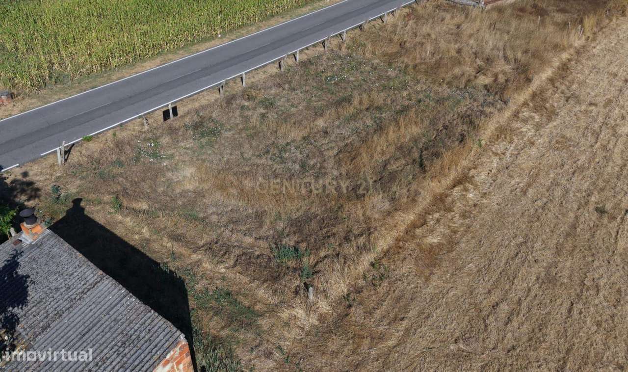 Terreno Urbano em Oliveira do Bairro - Excelente Oportunidade-5