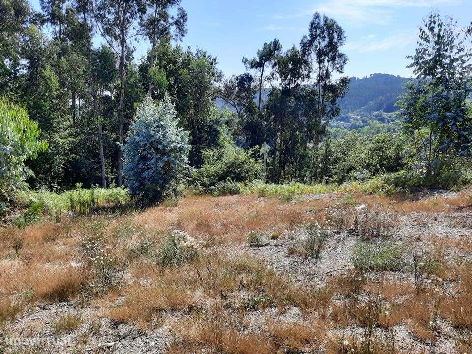 Terreno para Construção em Travassós, Fafe - Grande imagem: 5/12