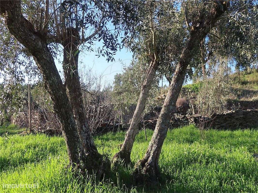 Moradia T3 para venda-23