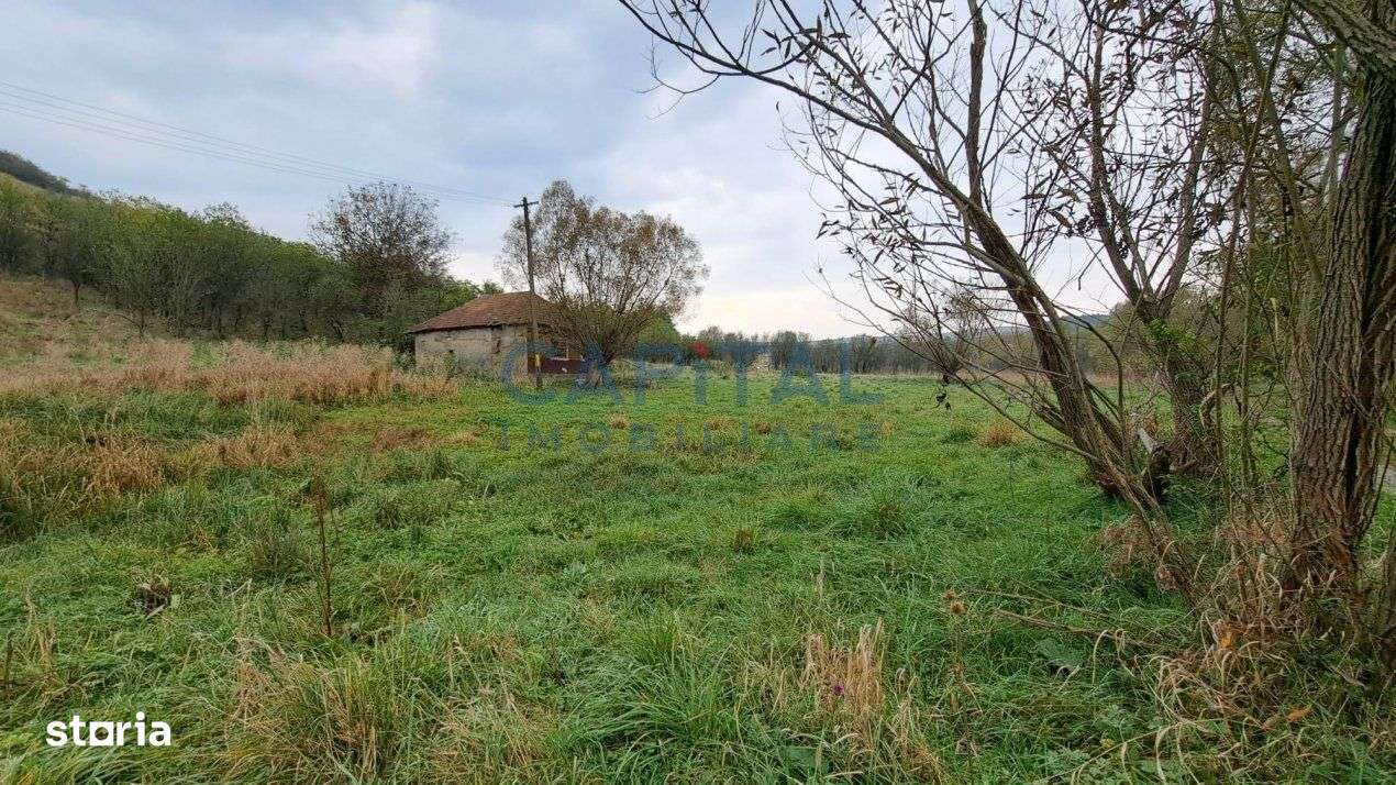 Teren plan 4800 mp cu casa demolabila, centru Corpadea, Apahida - Imagine principală: 5/10