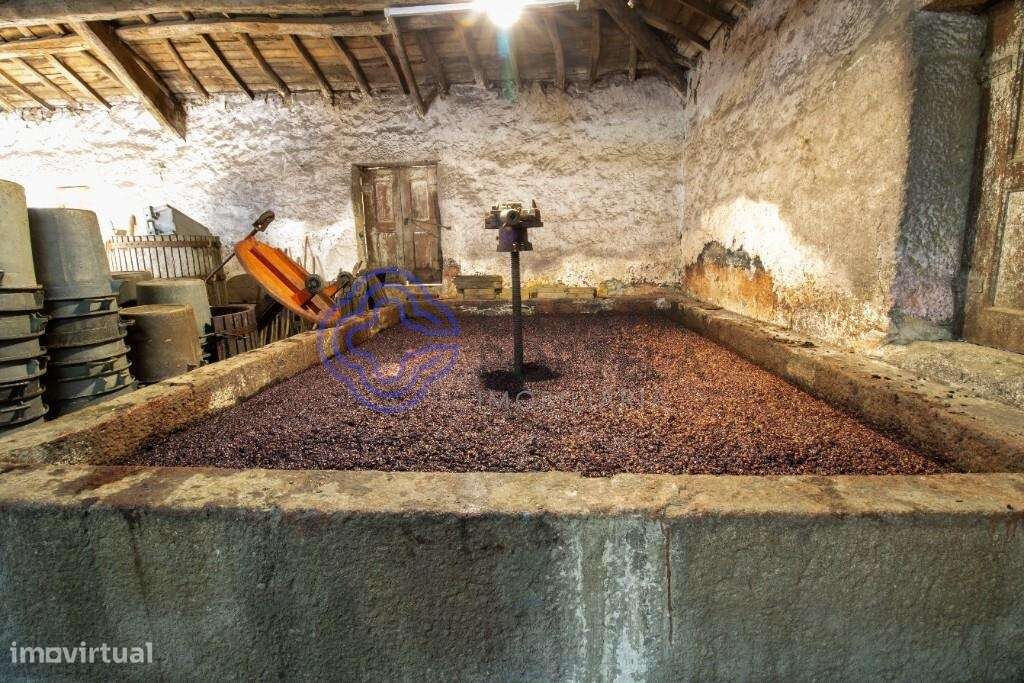 Quinta da Varanda em Lamego - Grande imagem: 2/60