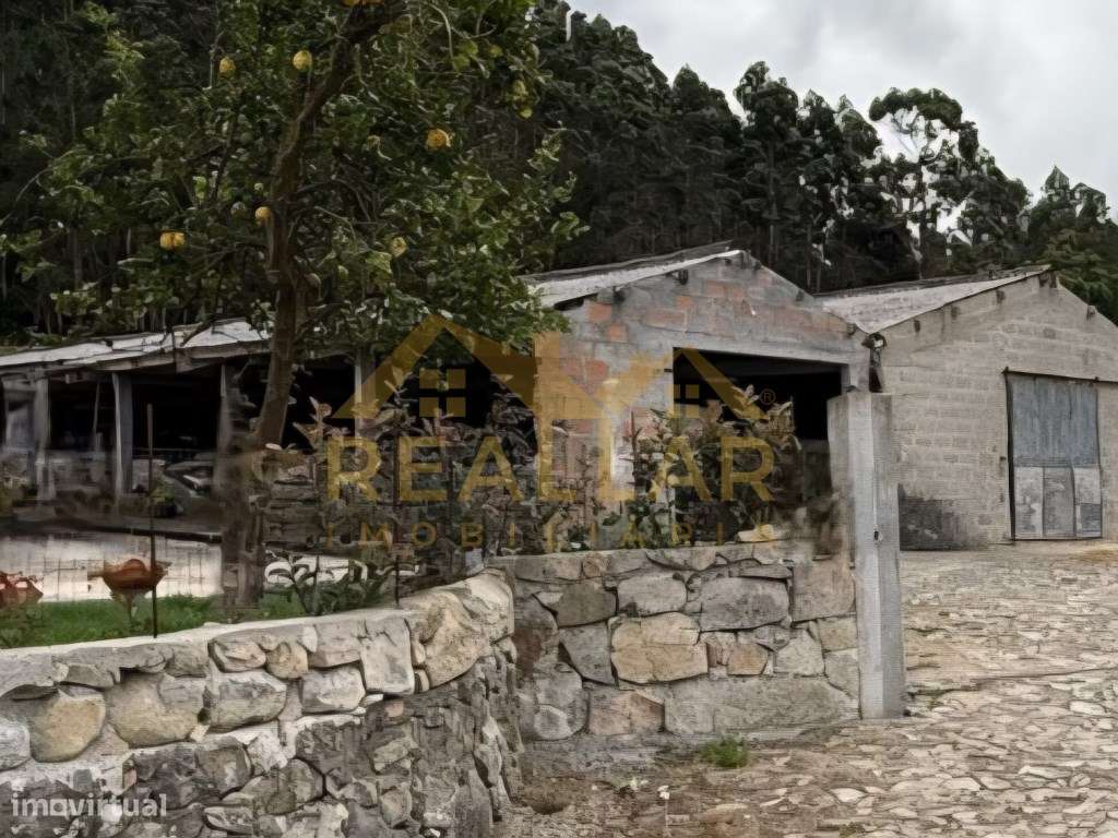 Terreno Agrícola com Benfeitorias - Grande imagem: 4/23