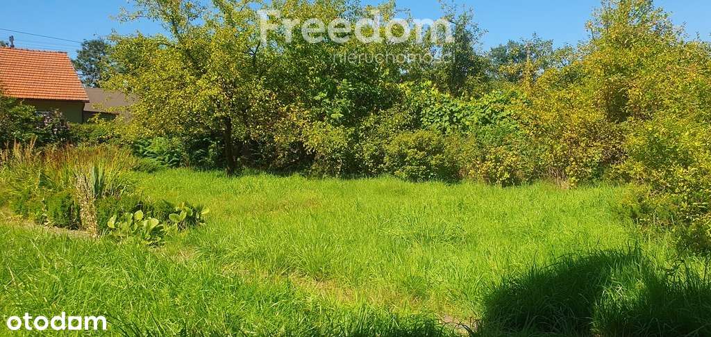 Duża działka budowlana z domkiem i sadem.-8
