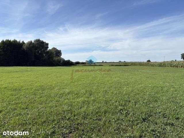 Grunt pod inwestycje Owieczki gm. Łubowo-9